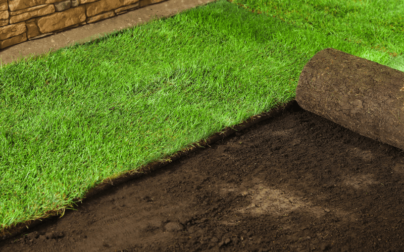 Sod Installation Services in West Chester, PA